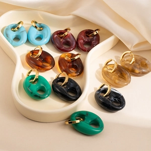Pendientes de Resina con Nariz de Cerdo de Acero Inoxidable Chapado en Oro para Mujer Joyería de Moda Eslabón de Ancla