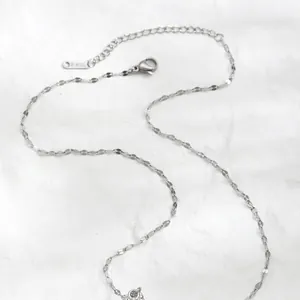 Detail of silver stainless steel leaf chain necklace with lobster clasp and extension
