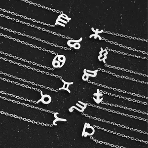 Colliers signes du zodiaque en argent poli avec pendentifs sur fond noir mat