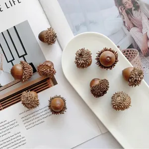 Detailed close-up of natural acorns with textured caps on a white ceramic plate