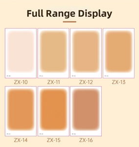 Detailed color swatches for scar concealer stickers showing tones ZX-10 to ZX-16