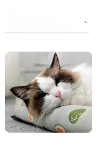 Soft pet neck pillow with avocado print used by a Ragdoll cat for comfortable sleeping