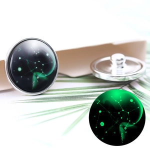 Macro detail of a 20mm Sagittarius zodiac glass button with a silver metal base