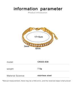 Détails du bracelet en acier inoxydable doré de 6mm avec zircons et extension 17+5cm