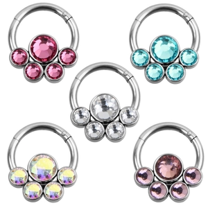 Anello al Naso a Segmento a Cerniera in Acciaio Inossidabile Zirconia Cubica Gioielli da Piercing per Donna