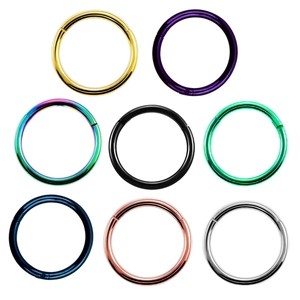 Anneau de Segment à Charnière en Acier Inoxydable 316L Clicker pour Piercing Nez Oreille Lèvre Bijoux pour Femmes Hommes