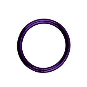 Gros plan sur l'anneau segmenté en acier chirurgical 316L violet pour piercing