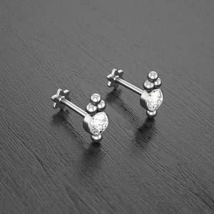 Detailed macro view of silver stud earrings with clear zircon and star shaped backings