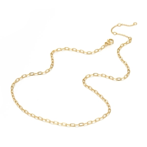 Détail d'un collier chaîne en titane plaqué or 14K avec fermoir mousqueton et extension