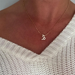 Collier Pendentif 12 Signes du Zodiaque en Acier Inoxydable 316L Plaqué Or Argent Or Rose Bijoux d'Astrologie Minimalistes pour Femme Fille Cadeau