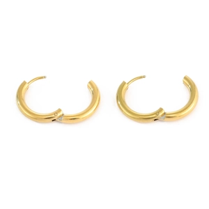 Minimalist 14K gold plated chunky stainless steel hoop earrings for women with hinged closure