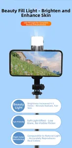 Close-up of LED beauty fill light with eye protection and brightness adjustment feature