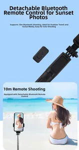 Detail of extendable selfie stick with Bluetooth remote used for long-distance photography