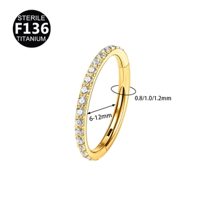 F136 titanium segment ring with sparkling cubic zirconia in multiple sizes