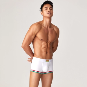 Dettaglio di boxer bianchi in cotone con strisce rosse e verdi su un modello uomo