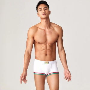 Dettaglio dei boxer bianchi con bordo gamba a righe e logo del marchio in vita
