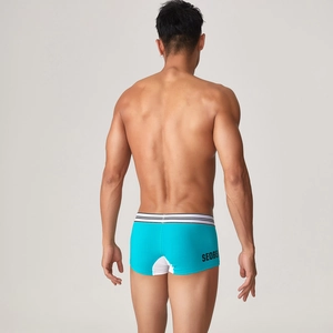 Rückansicht der Herren Low-Rise Boxer-Slips in Blau mit gestreiftem Gummibund