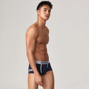 Detail der dunkelblauen Herrenboxershorts mit breitem Gummibund und Seobean Logo Branding