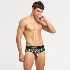 Detailansicht der Herren-Slips mit sportlichen Streifen und SEOBEAN-Markenbund