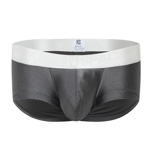 Detailed view of men's dark grey boxer briefs with 3D pouch and wide white waistband