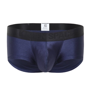 Close-up of men's navy blue boxer briefs with elastic waistband and fabric composition label