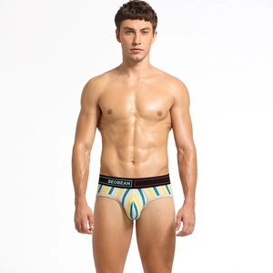 Herren Low Rise Baumwollslips mit bunten vertikalen Streifen und elastischem Logobund