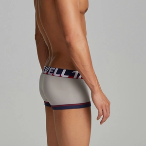 Detail of men's low-rise boxer briefs showing gray fabric and elastic logo waistband