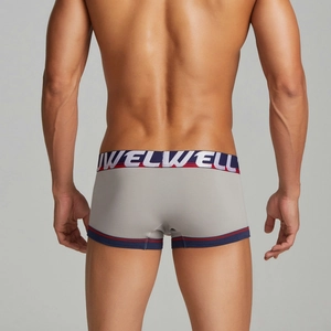 Rear view of men's low-rise boxer briefs with contrast stripes and elastic waistband