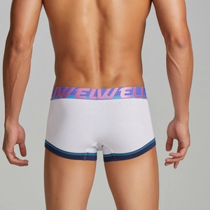 Rear view detail of men's low-rise boxer briefs with purple and blue striped waistband