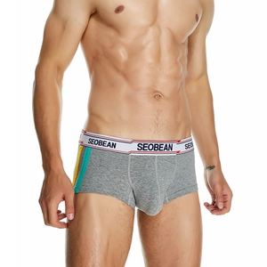 Detailansicht grauer Herren-Boxershorts mit Seitenstreifen und elastischem Logobund