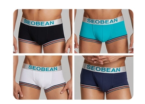 Detail von vierfarbigen Boxershorts mit silbernem Elastikbund und gestreiftem Saumrand