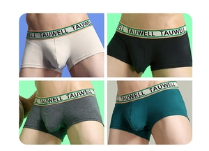 Detailed four-color grid showing men's low-rise boxer briefs with elastic branded waistbands