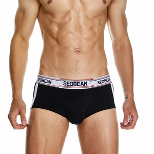 Detailansicht der Herren-Boxershorts mit niedriger Taille, Seitenstreifen und Markenbund