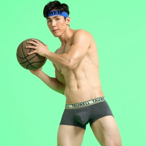 Close-up of men's low-rise boxer briefs with striped branded waistband and cotton fabric