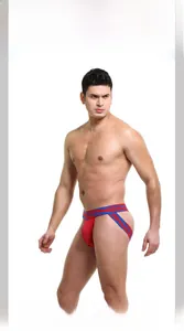 Detailed shot of red mesh jockstrap with a blue elastic waistband on male model