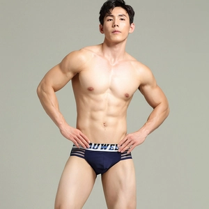 Detail of blue men's briefs featuring side mesh panels and elastic logo waistband