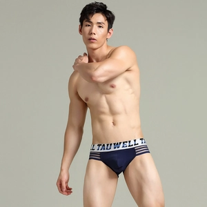 Detail of navy low-rise briefs featuring a wide elastic waistband with TAUWELL logo