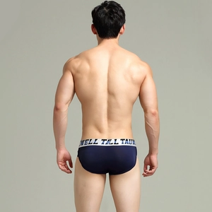 Close-up of men's striped briefs featuring the elastic white waistband and logo