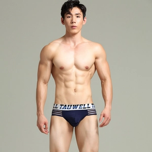 Detail of navy blue men briefs showing striped mesh side panels and branded waistband