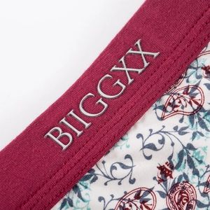 Detailansicht der Herrenboxer mit Paisleymuster, rotem Bund und metallischem Logo