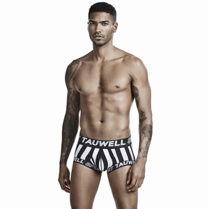 Detailed front view of men's low rise sexy striped boxer briefs with Tauwell branding