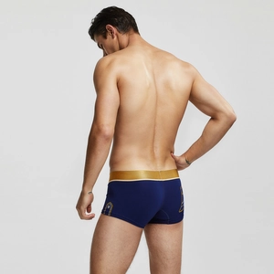 Détail de boxer bleu marine pour homme avec ceinture dorée et coupe moulante au dos