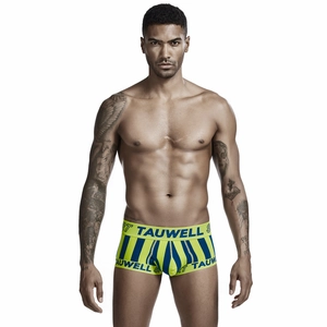 Men's low rise sexy boxer briefs with blue vertical stripes and wide elastic waistband