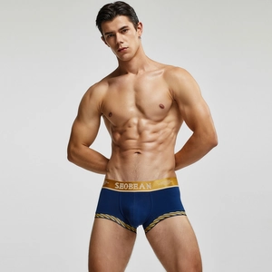 Detail von blauen Boxer-Briefs mit elastischem Goldbund und Streifen-Design für Herren