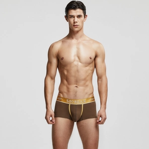 Vue de face du boxer pour homme marron avec ceinture élastique dorée