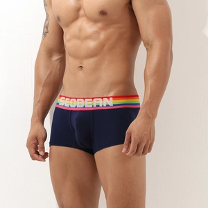 Detail of men's low-rise boxers in navy blue with rainbow elastic waistband and logo