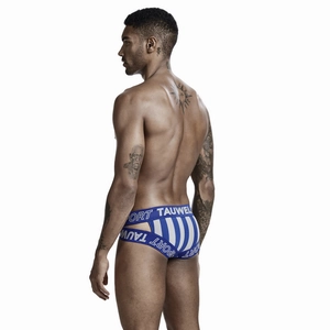 Rear view of striped men's sport briefs with blue elastic TAUWELL logo waistband
