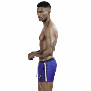 Detail of blue men's shorts featuring side stripes and a banana graphic with drawstrings