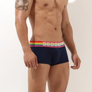 Detailed close-up of rainbow striped waistband and brand logo on navy boxer briefs