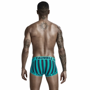 Detail of men's low-waisted teal striped boxer briefs with elastic sport waistband